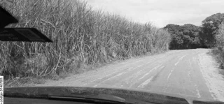 Imóvel 2492327 [''] - ['Eldorado, Jundiá'] [''] - ['Jundiá']/['AL'] - 1