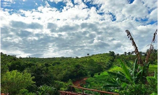 Imóvel 2736327 [''] - ['Barreiro/Barbada de Baixo, Senador Modestino Gonçalves'] [''] - ['Senador Modestino Gonçalves']/['MG'] - 1