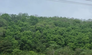 Imóvel 2521527 [''] - ['Linha 01, Secção Paiol Grande'] ['Paiol Grande'] - ['Erechim']/['RS'] - 1