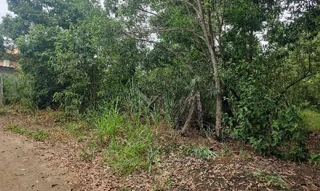 Imóvel 2770728 [''] - ['RUA DARCI VIEIRA DOS SANTOS N. SN, 153 Chácaras Retiro do Congo - DO CONGO - VILA VELHA/ES'] [''] - ['Vila Velha']/['ES'] - 1