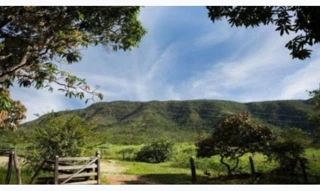 Imóvel 2745328 [''] - ['Fazenda Renascer - Zona Rural'] [''] - ['Colônia Leopoldina']/['AL'] - 1