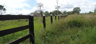 Imóvel 2826528 [''] - ['FAZENDA BOA ESPERANÇA, LOTE Nº 34 DA GLEBA 67, SITUADO NO MUNICÍPIO DE PACAJÁ'] [''] - ['Pacajá']/['PA'] - 1
