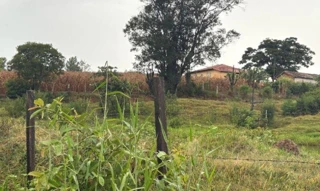 Imóvel 2490728 [''] - ['bairro do Morro'] [''] - ['Monte Mor']/['SP'] - 1