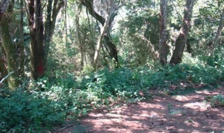 Imóvel 2540629 [''] - [''] [''] - ['Carapicuíba']/['SP'] - 1