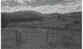 Imóvel 2767229 [''] - ['Fazenda São José, Bairro Capituva, a aprox. 3,5Km da placa Capituva/Balaio'] [''] - ['Santa Rita Do Sapucaí']/['MG'] - 1