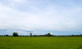 Imóvel 2760229 [''] - ['FAZENDA CORRÉGO CACHOEIRA ALEGRE'] [''] - ['Santa Margarida']/['MG'] - 1