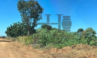 Imóvel 2742329 [''] - ['Avenida 7, Lote nº 01, Quadra nº 19, Loteamento PROJETO CANARANA III'] [''] - ['Canarana']/['MT'] - 1