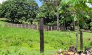 Imóvel 2733229 [''] - ['Linha 156, Km 6,5, Lado Norte, Novo Horizonte do Oeste'] [''] - ['Novo Horizonte Do Oeste']/['RO'] - 1