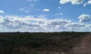Imóvel 2878629 [''] - ['Lote Rural nº 58, Parcela 03 - Remanescente, Linha 135, Setor 12, Gleba Corumbiara'] [''] - ['Vilhena']/['RO'] - 1