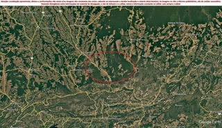 Imóvel 2397929 [''] - ['MT - 130, KM 45 (Sete Placas)'] [''] - ['Paranatinga']/['MT'] - 1