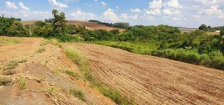 Imóvel 2352530 [''] - ['Rodovia Pr-317, 12052, Lote 220-C/220-D-6 E Lote 220-C/220-D-8 - Gleba Ribeirão Pinguim, Parque Industrial, Maringá - PR'] [''] - ['Maringá']/['PR'] - 1