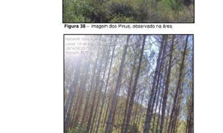 Imóvel 2372430 [''] - ['situada na Linha Fazenda Sapateiro, interior agrícola, CEP 89.687 000, PASSOS MAIA/SC'] [''] - ['Passos Maia']/['SC'] - 1