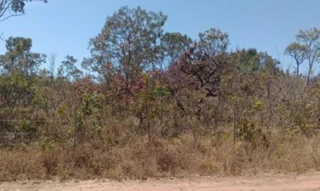 Imóvel 2674530 [''] - ['Loteamento Santa Maria, s/n° - Chácara 2003-A - Setor Norte - Planaltina / GO'] ['St. Norte'] - ['Planaltina']/['GO'] - 1