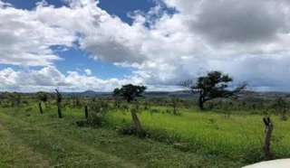 Imóvel 2615130 [''] - ['Fazenda Lago Azul IV'] [''] - ['Caiapônia']/['GO'] - 1