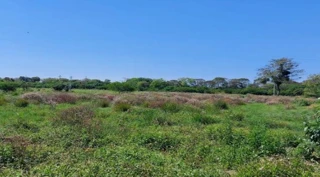 Imóvel 2736230 [''] - ['Chácara dos Pires'] [''] - ['São Borja']/['RS'] - 1