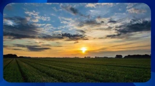 Imóvel 2378630 [''] - [', SN - ZONA RURAL'] [''] - ['Caldas']/['MG'] - 1