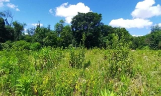 Imóvel 2551630 [''] - ['Situada no município de São José do Inhacorá-RS'] [''] - ['São José Do Inhacorá']/['RS'] - 1