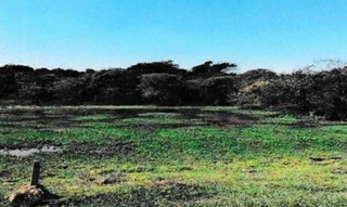 Imóvel 2738530 [''] - ['Bairro Pirapora, Tietê/SP'] [''] - ['Tietê']/['SP'] - 1