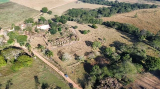 Imóvel 2343931 [''] - ['Fazenda Monte Alegre do Pinhal - Tejupá/SP'] [''] - ['Tejupá']/['SP'] - 1