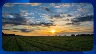 Imóvel 2436531 [''] - ['R. Jornalista Edson Regis, 733'] ['Ibura'] - ['Recife']/['PE'] - 1