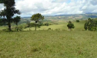 Imóvel 2693631 [''] - ['Sairé, PE'] [''] - ['Sairé']/['PE'] - 1