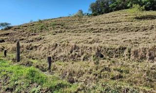 Imóvel 2540531 [''] - ['LOTE RURAL N° 31-A, GLEBA 58-AM, NÚCLEO AMPERE COLÔNIA MISSÕES, LINHA SÃO JOSÉ'] [''] - ['Realeza']/['PR'] - 1