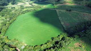 Imóvel 2646531 [''] - ['Distrito de Presidente Juscelino, s/n- LINHA FARROUPILHA'] [''] - ['São Lourenço Do Oeste']/['SC'] - 1