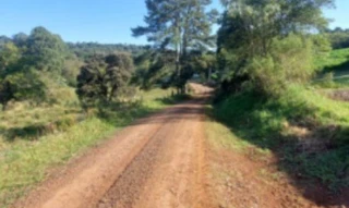 Imóvel 2336732 [''] - ['Linha Cabeceira da Barragem'] [''] - ['Chapecó']/['SC'] - 1