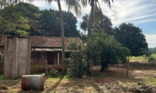 Imóvel 2344632 [''] - ['Distrito de Rio Bonito, CEP 87575-970, Francisco Alves/PR'] [''] - ['Francisco Alves']/['PR'] - 1