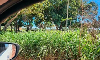 Imóvel 2391532 [''] - ['Nao informado Nao informado'] [''] - ['São Francisco Do Brejão']/['MA'] - 1