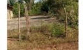Imóvel 2870432 [''] - ['Grande Fazenda c/ 946,1351 hectares, denominado FAZENDA SÃO RAIMUNDO / GLEBA B'] [''] - ['Timbiras']/['MA'] - 1