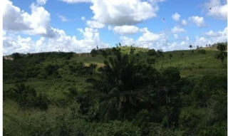 Imóvel 2689532 [''] - ['Rodovia Ba 521 (Via Matoim) Km 1, s/n - Madeira - Candeias / BA'] [''] - ['Candeias']/['BA'] - 1