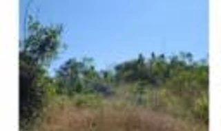 Imóvel 2744032 [''] - ['Setor Jaquirana/6, Gleba Jacundá do Projeto Fundiário Alto Madeira'] [''] - ['Candeias Do Jamari']/['RO'] - 1