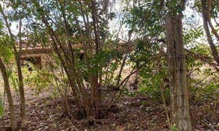 Imóvel 2526032 [''] - ['Sítio São Cristóvão, s/n - Zona rural - Ressaca - Ibiúna / SP'] [''] - ['Ibiúna']/['SP'] - 1