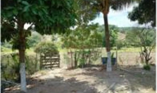 Imóvel 2737232 [''] - ["Povoado Ribeira, localidade chamada 'Pilões'"] [''] - ['Itabaiana']/['SE'] - 1