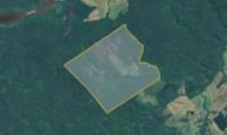 Imóvel 2617133 [''] - ['Ramal Puxuri, Município de Almeirim'] [''] - ['Almeirim']/['PA'] - 1