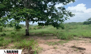 Imóvel 2631133 [''] - [', Guiratinga, MT'] [''] - ['Guiratinga']/['MT'] - 1