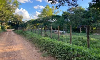 Imóvel 2773633 [''] - ['Fazenda Maktub/ parte 2'] [''] - ['Juramento']/['MG'] - 1