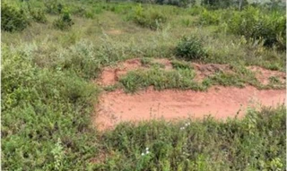 Imóvel 2643533 [''] - ['Município de Tesouro'] [''] - ['Tesouro']/['MT'] - 1