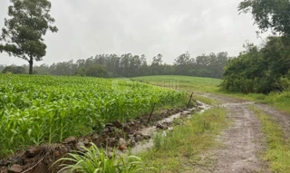 Imóvel 2510633 [''] - ['Linha Butiá, Núcleo Comandai, Colônia Guarani'] [''] - ['Campina Das Missões']/['RS'] - 1