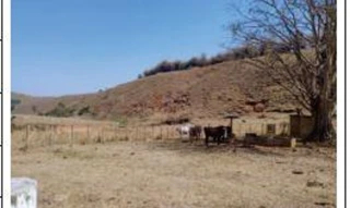 Imóvel 2432533 ['10211998'] - ['RECREIO E OUTRAS - CONCEICAO 4 DISTRITO - ZONA RURAL, ITAOCARA - CEP: 28570-000, ITAOCARA - RIO DE JANEIRO'] [''] - ['Itaocara']/['RJ'] - 1