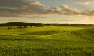 Imóvel 2680433 [''] - ['ZONA RURAL- DENOMINADO “SANTA MARIA”'] [''] - ['Leopoldina']/['MG'] - 1