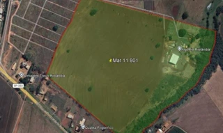 Imóvel 2778933 [''] - ['Sítio São Benedito, Área Rural de Riolândia, Riolândia, SP'] [''] - ['Riolândia']/['SP'] - 1