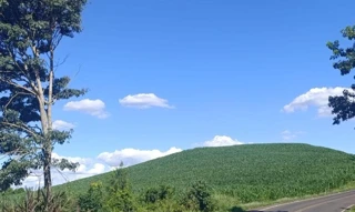 Imóvel 2793933 [''] - ['Área Rural, Lote 65 A, subdivisão do lote no 65 do polígono A, sob a denominação de \\Fazenda Separação\\ Linha Progresso, S/N, no Município de Salgado Filho/PR, CEP: 85620-000'] [''] - ['Salgado Filho']/['PR'] - 1