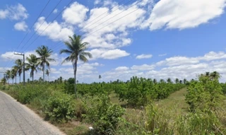 Imóvel 2886533 [''] - ['Umbaúba, SE'] [''] - ['Umbaúba']/['SE'] - 1