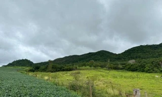 Imóvel 2609533 [''] - ['FAZENDA CAMPO BELO, lugar denominado FAZENDA SÃO VICENTE DE PAULO'] [''] - ['Caiapônia']/['GO'] - 1