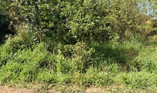 Imóvel 2699933 [''] - ['RUA CANGUCU,N. SN FRACAO 04 LT 10 QD K, TIJUCA - CEP: 94836-220, ALVORADA - RIO GRANDE DO SUL'] ['Maria Regina'] - ['Alvorada']/['RS'] - 1