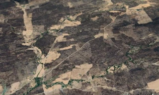 Imóvel 2609333 [''] - ['Canto Alegre, Distrito Recanto, - Fronteiras - PI'] [''] - ['Fronteiras']/['PI'] - 1