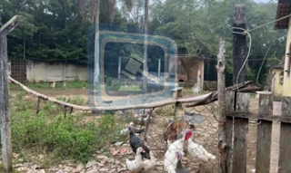 Imóvel 2512634 [''] - ['R. Francisca Batista da Silva, lotes 14 e 15 - Parque Alvorada - Embu-Guaçu - SP'] ['Parque Alvorada'] - ['Embu-Guaçu']/['SP'] - 1