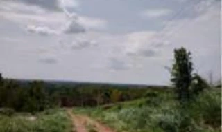 Imóvel 2737234 [''] - ['Ramai Bela Vista, Floresta Sul, N. C. Nova Empresa, margens do Rio Acre'] ['Floresta Sul'] - ['Rio Branco']/['AC'] - 1